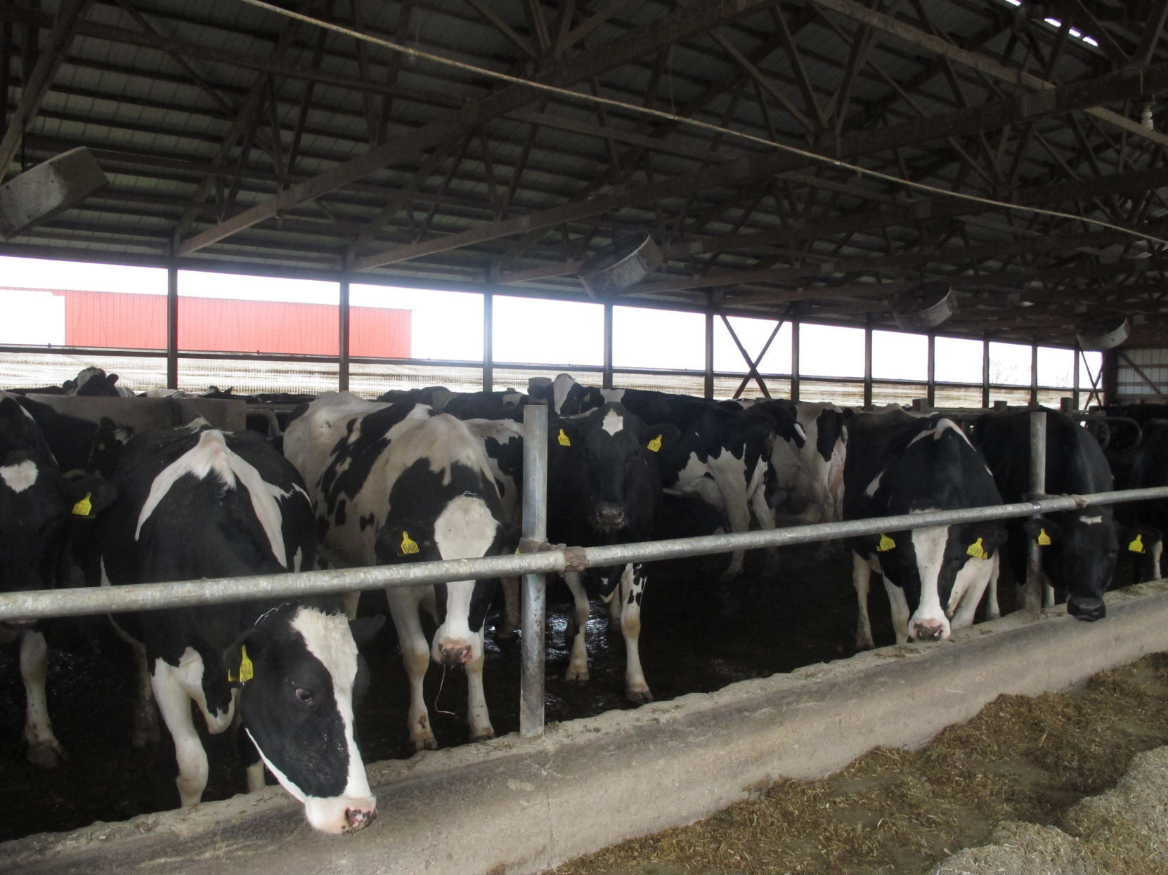 Milk: $35,739,249,000